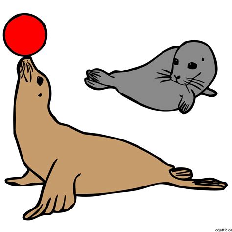 Cartoon Seal Drawing in 4 Steps With Photoshop