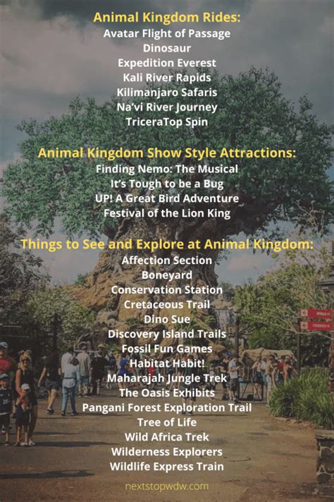 Best Rides and Shows in Animal Kingdom