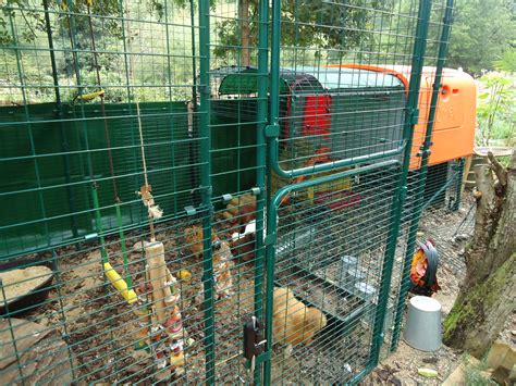 Walk in Chicken Run | Large Outdoor Chicken Enclosure