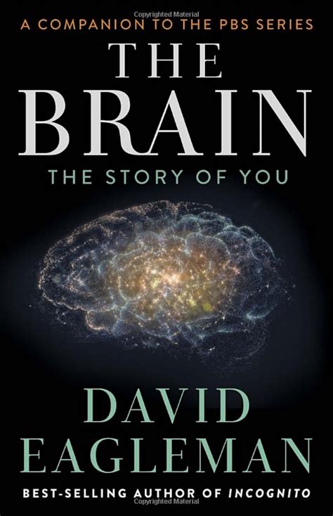 ‘The Brain: The Story of You’