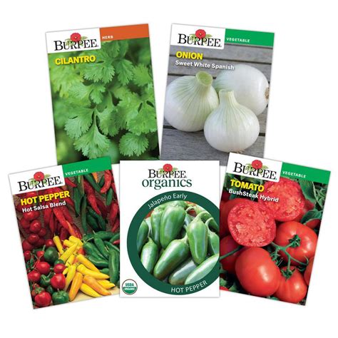 Burpee Salsa Garden Herb and Vegetable Seed Collection (5-Pack) 72067 - The Home Depot