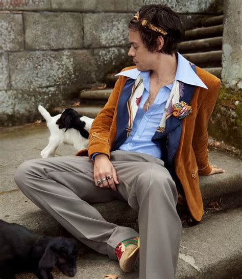 Harry Styles cuddles baby farm animals in new Gucci ad campaign