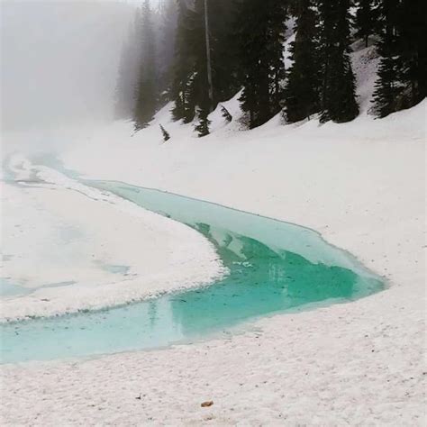 Garibaldi Lake Trail Photo | Hiking Photo Contest | Vancouver Trails