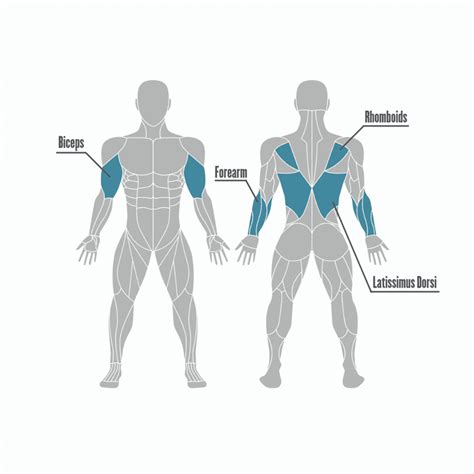 weighted chin ups alternative > OFF-67%