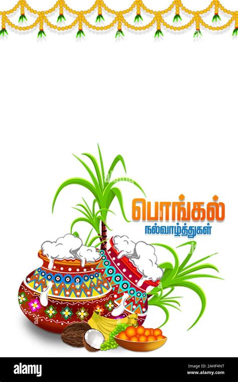 Details 100 village pongal background - Abzlocal.mx