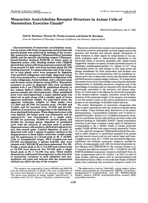 (PDF) Muscarinic acetylcholine receptor structure in acinar cells of ...