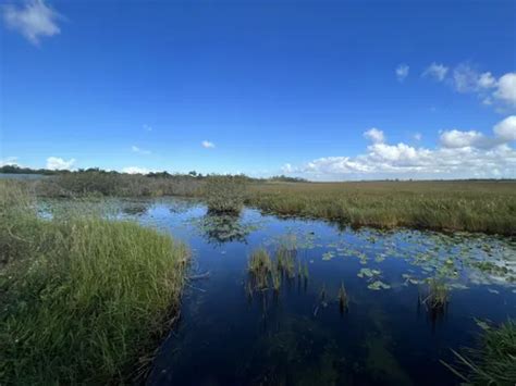 10 Best Hikes and Trails in Everglades National Park | AllTrails