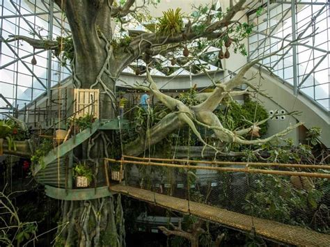 Green Planet Dubai - An Amazing Indoor Rainforest in UAE