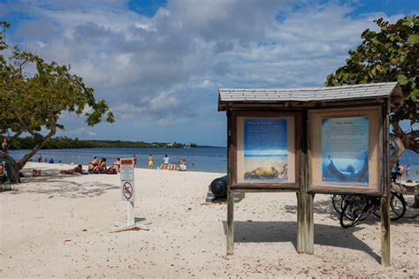 The Best Snorkeling in the Florida Keys | Scho & Jo