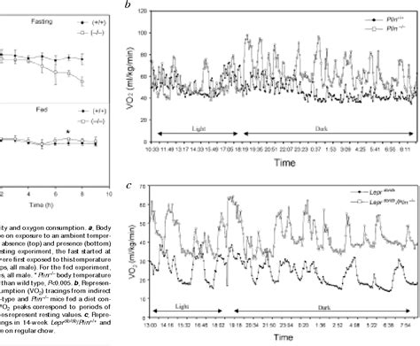 hormone-sensitive lipase activity | Semantic Scholar