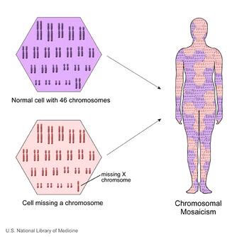 Mosaic | UVM Genetics & Genomics Wiki | FANDOM powered by Wikia