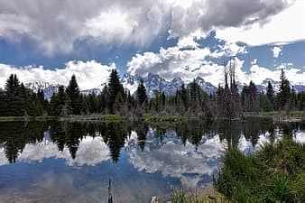 beaver lodge, hiking, tetons, wyoming, mountains, lake, trees | Pikist