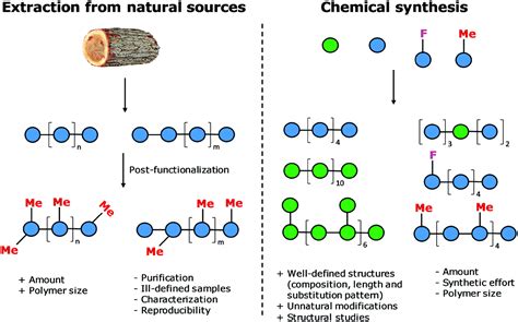 Materials science based on synthetic polysaccharides - Materials ...