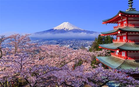 Japan Cherry Blossom Festival 2018: Where and When to Visit | Travel + Leisure