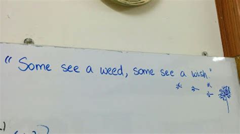 Quotes To Put On Your Whiteboard At Work : 25 Funny Whiteboard Quotes To Entertain You ...