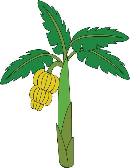 Banana Tree Clip Art - Cliparts.co