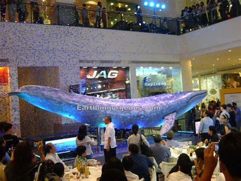 Catch The Big Blue Whale Exhibit In Manila | Earthlingorgeous