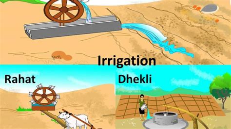 Biology - Agricultural tools and irrigation methods: - English - YouTube