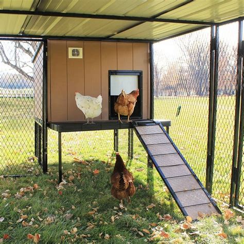 Chicken Coops | Urban chickens, Urban chicken coop, Chicken coop