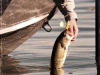 900+ Iowa Fishing ideas in 2024 | iowa, fishing tips, fish