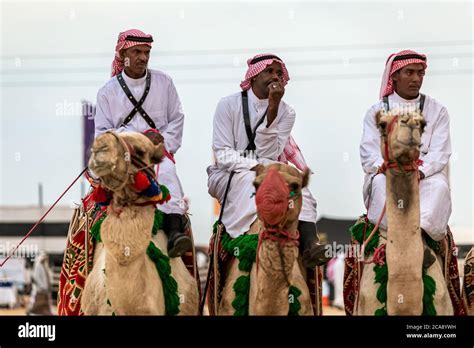 Saudi Arab Camel riders with their camels on traditional desert safari festival in abqaiq Saudi ...