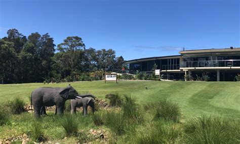 The Bayview Golf Club Elephant Statues - Bayview Golf