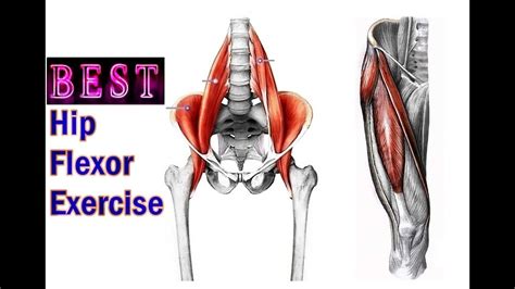 Best hip flexor exercise - YouTube