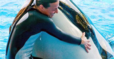 SeaWorld Trainer Embraced Risks of Job - CBS News