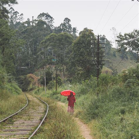 Idalgashinna to Haputale Railway Walk — Walk My World