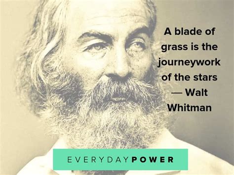 95 Walt Whitman Quotes on Love and Life (2022)