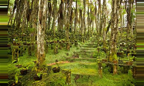 Cobán, Alta Verapaz, Guatemala - 2018 Travel Guide