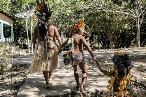 Warring Amazonian Tribes have united against Brazilian Government to ...