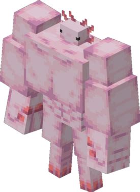 Buff Axolotl (Minecraft) | Joke Battles Wikia | Fandom