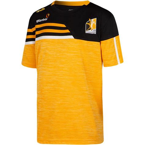 Kilkenny GAA Kids' Nevis T-Shirt Amber / Black / Amber | oneills.com