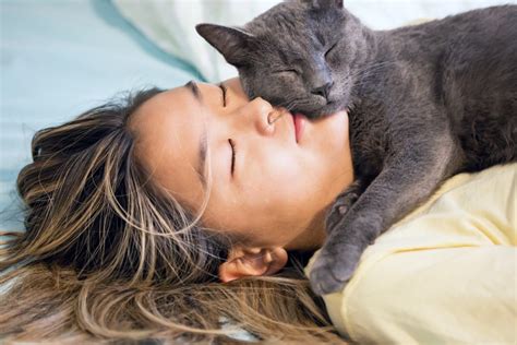 Why Does My Cat Sleep on Me? | Healthy Paws