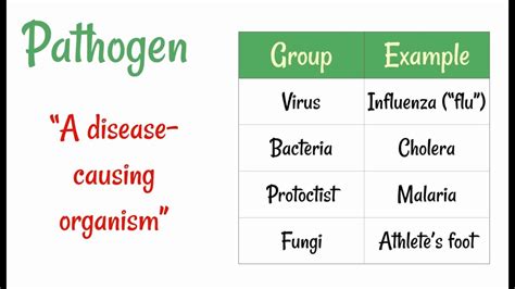 Pathogens and Transmission - YouTube