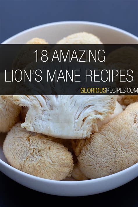 18 Amazing Lion's Mane Recipes To Try