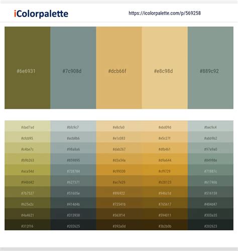 640+ Latest Color Schemes with Putty Color tone combinations | 2024 ...