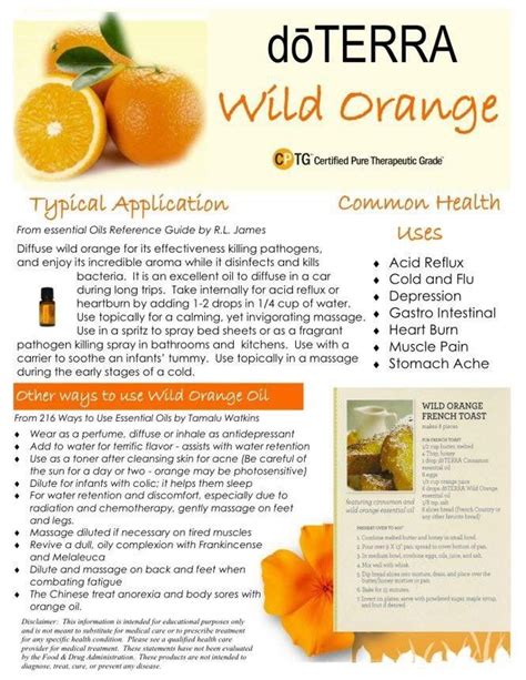 Pin by Deanna Throckmorton on Doterra | Wild orange essential oil, Doterra essential oils ...