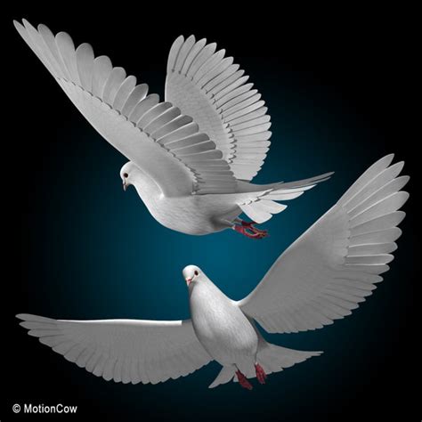 3ds max realistic flying dove