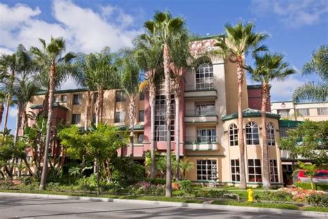 Peacock Suites | Anaheim resort, Disney vacation rentals, Timeshare rentals