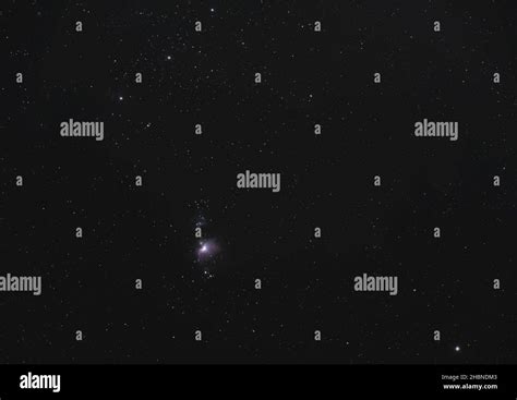 Winter night sky with purple Orion nebula, bright Rigel star in bottom right corner, long ...