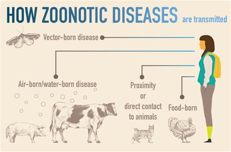 Zoonotic Infections: Diseases Transmitted from Animals to Humans