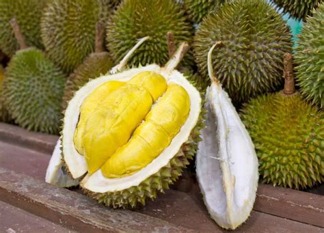 Durian - the King of fruits for health | PharmaTutor