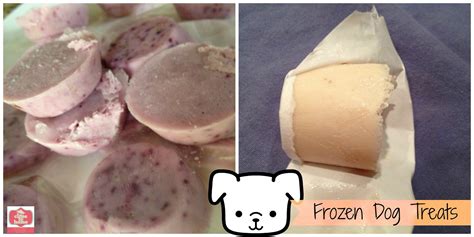 How to make homemade Frosty Paws or Frozen Dog treats