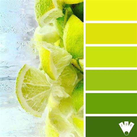 Citron | Journal des couleurs | Palette de couleurs vert, Vert jaune ...