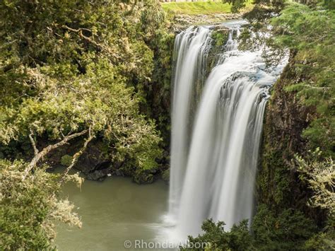 Four Must See New Zealand Waterfalls - Auckland to Bay of Islands | Albom Adventures