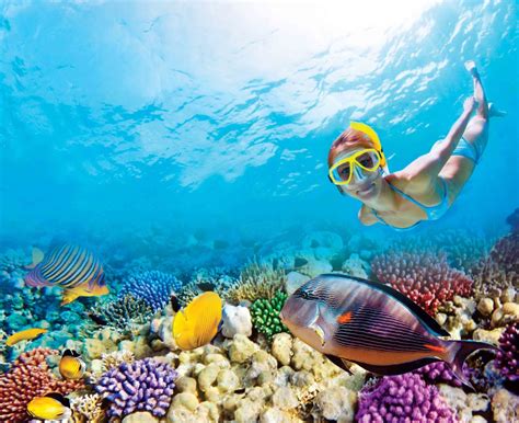 Cancun Snorkeling | The best Snorkeling Tour | Riviera Maya Snorkeling