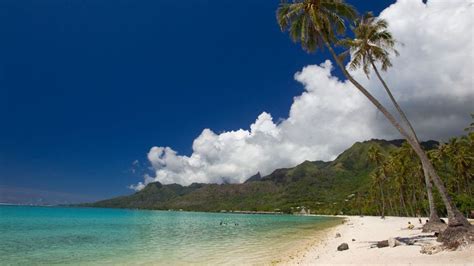 Temae beach, Moorea, French Polynesia - Ultimate guide (December 2024)