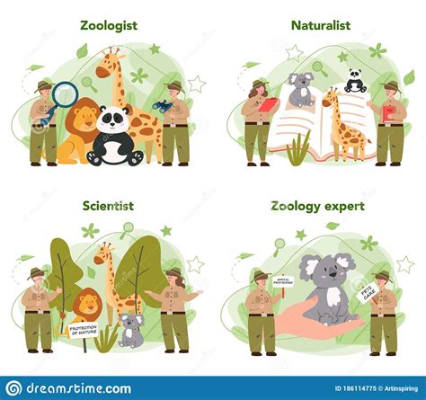 Zoologist Male Illustration Cartoon Drawing And White Background White Background And White ...